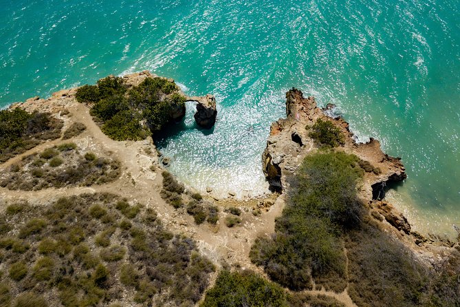 Bioluminescent Bay - Cabo Rojo Southwest Full-Day Tour: 4+ People - Health and Safety Requirements