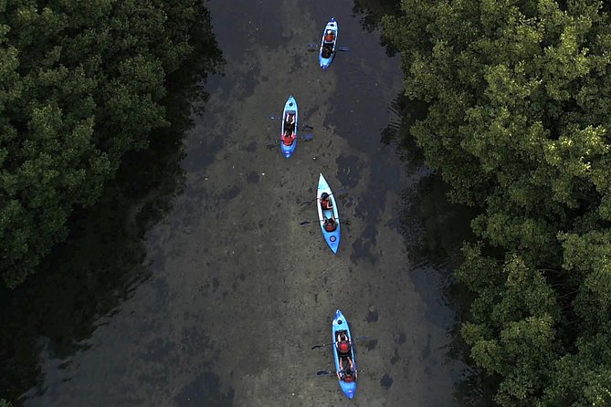 Bioluminescent Bay Kayak Adventure From San Juan - Health and Safety Restrictions