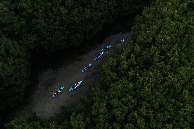 Bioluminescent Bay Kayak Adventure Tour From San Juan - Inclusions and Logistics