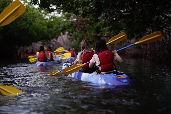 Bioluminescent Bay Kayak Adventure Tour From San Juan - Health and Safety Restrictions
