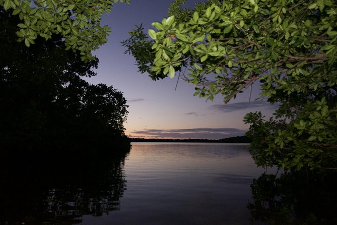 Bioluminescent Bay Kayak Adventure Tour From San Juan - Booking and Availability