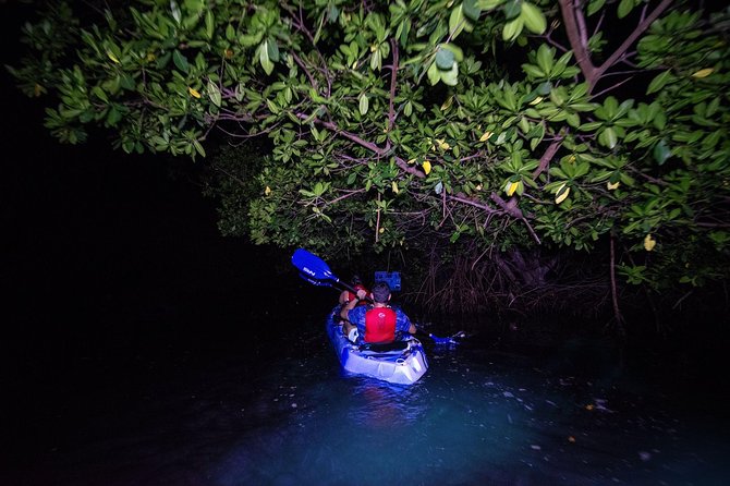 Bioluminescent Bay Kayak Adventure Tour From San Juan - Getting to the Tour