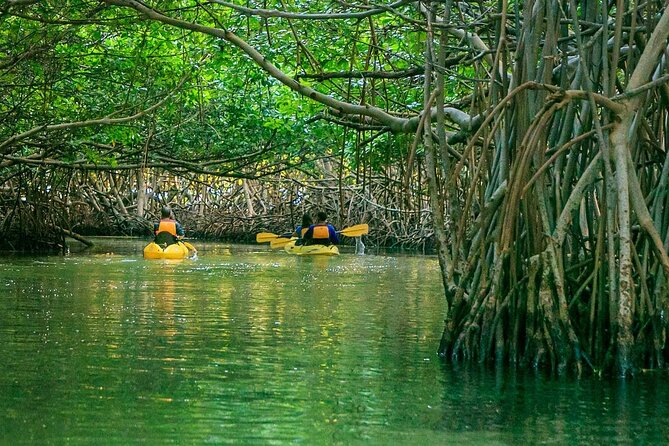 Bioluminescent Bay Night Kayak Experience - Learning About Local History and Culture