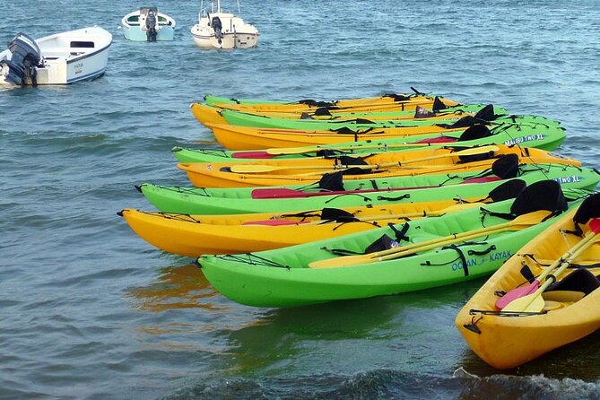 Bioluminescent Bay Night Kayak Experience - Physical Requirements and Age Restrictions