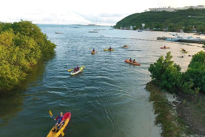 Bioluminescent Bay Night Kayak Experience - Guided Tour and Safety Precautions