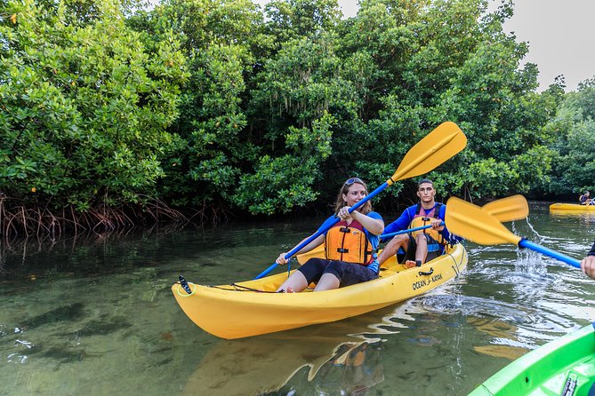 Bioluminescent Bay Night Kayaking | 7:30pm - Negative Experiences