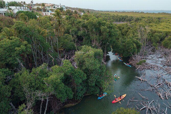 Bioluminescent Bay Night Kayaking Adventure in Puerto Rico - The Sum Up: Who Should Consider This Tour?