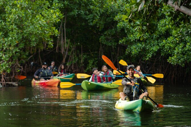 Bioluminescent Bay Night Kayaking Adventure in Puerto Rico - Final Thoughts