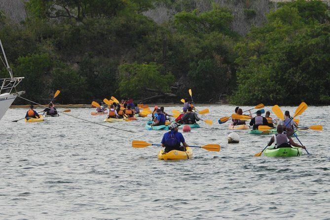 Bioluminescent Bay Night Kayaking, Fajardo - Key Points