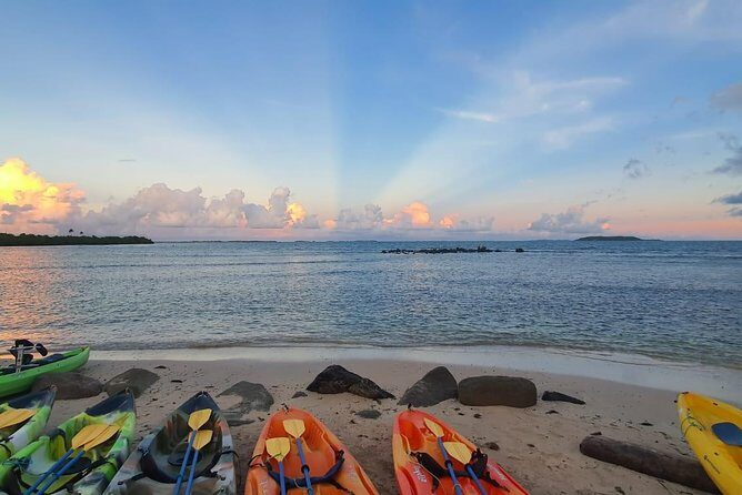 Bioluminescent Bay Night Kayaking, Fajardo - The Value and Cost
