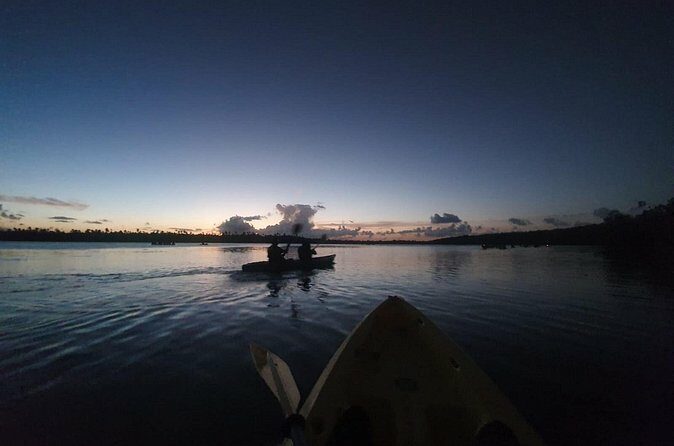 Bioluminescent Bay Night Kayaking, Fajardo - What’s Not Included?