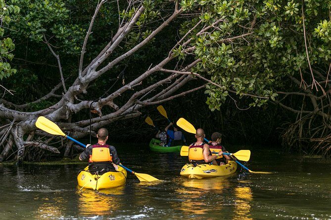 Bioluminescent Bay Night Kayaking, Fajardo - The Itinerary in Detail