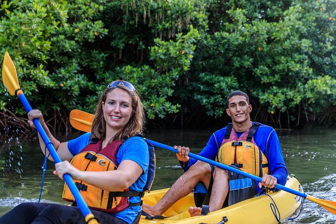 Bioluminescent Bay Night Kayaking Tour in Laguna Grande Fajardo - Location and Meeting Point
