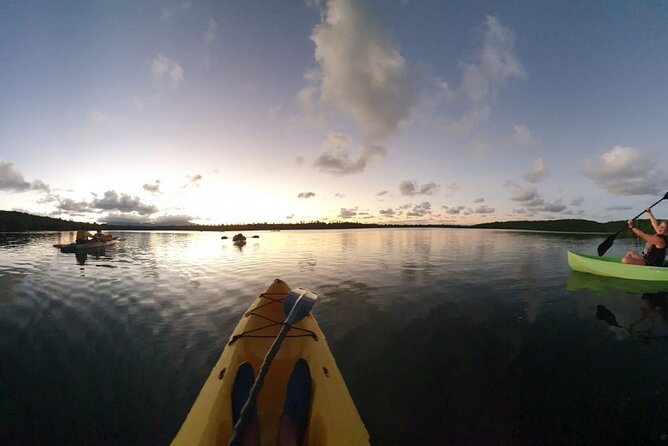 Bioluminescent Bay Night Kayaking Tour in Laguna Grande Fajardo - Tour Logistics