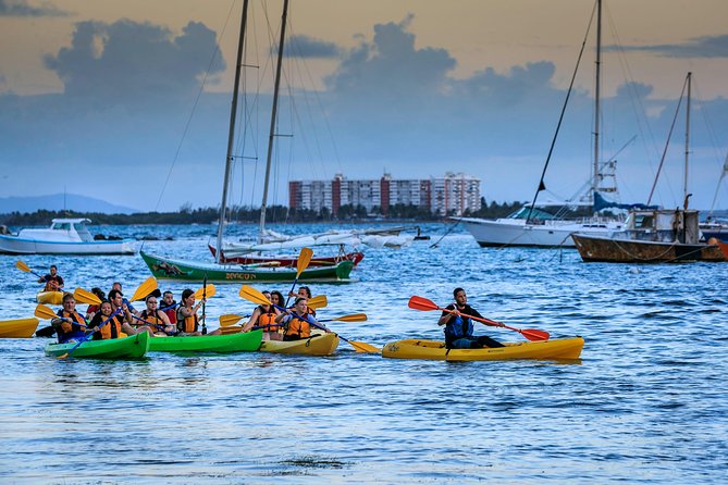 Bioluminescent Bay Night Kayaking Tour in Laguna Grande Fajardo - Customer Feedback Highlights