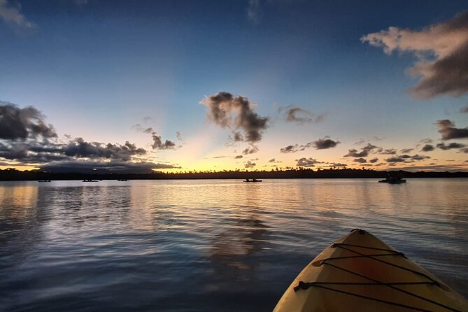 Bioluminescent Bay Night Kayaking Tour in Laguna Grande Fajardo - Booking and Additional Info