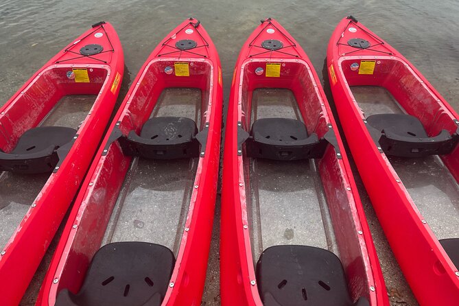 Bioluminescent Clear Bottom Kayak or Paddleboard Sit-On-Top Kayak Hybrid Tour! - Tour Overview