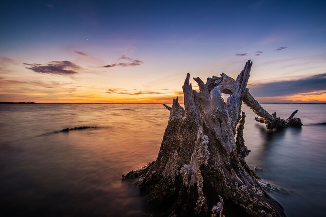 Bioluminescent Clear Kayak Tours in Titusville - Meeting Point and Pickup