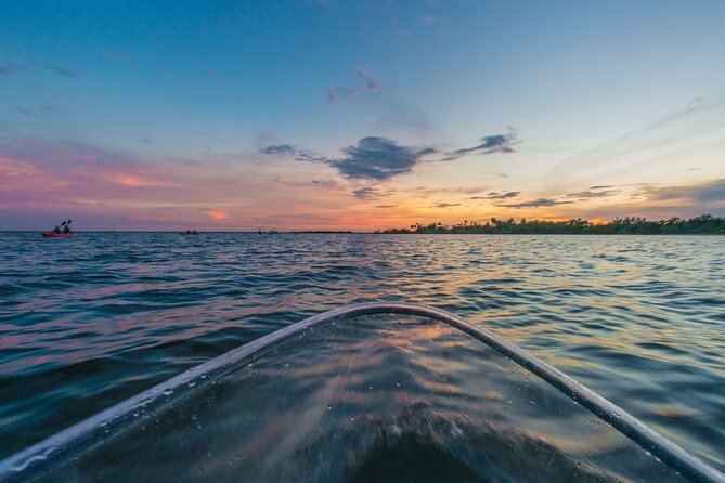 Bioluminescent Clear Kayak Tours in Titusville - Safety Considerations