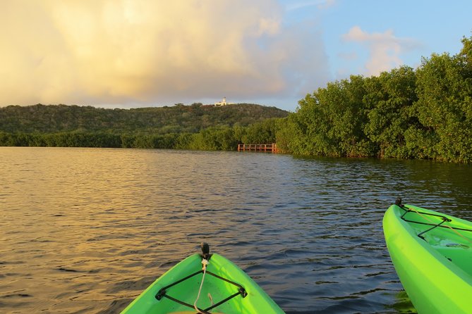 Bioluminescent Glowing Bay Kayaking Adventure in Puerto Rico - Customer Feedback and Experiences
