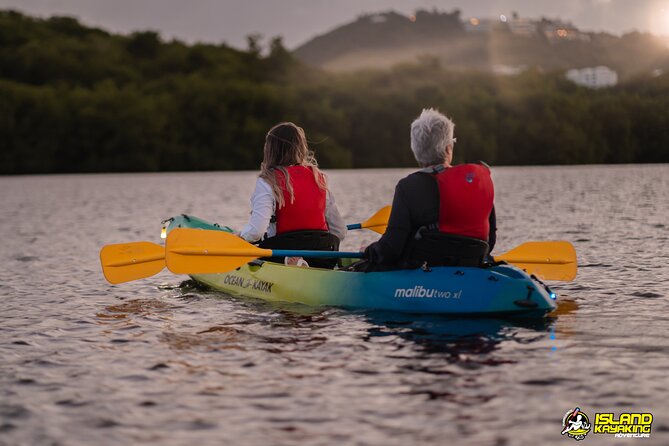 Bioluminescent Glowing Bay Kayaking Adventure in Puerto Rico - Recommendations and Tips