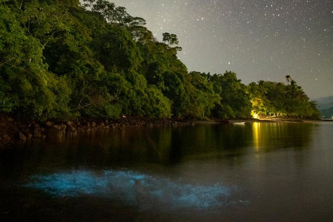 Bioluminescent Kayak Tour - Tour Overview