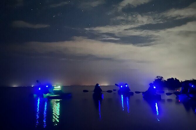 Bioluminescent Kayak Tour in Floridas Indian River Lagoon - Discover the Hidden Glow of Florida’s Indian River Lagoon