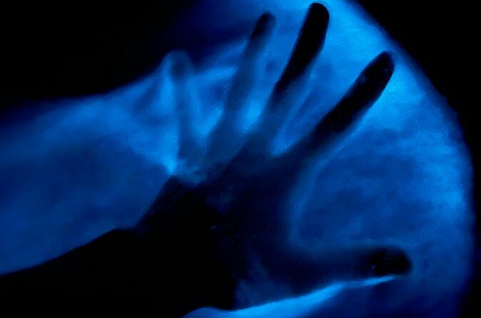 Bioluminescent Kayak Tour in Floridas Indian River Lagoon - Final Thoughts on the Tour’s Appeal and Value