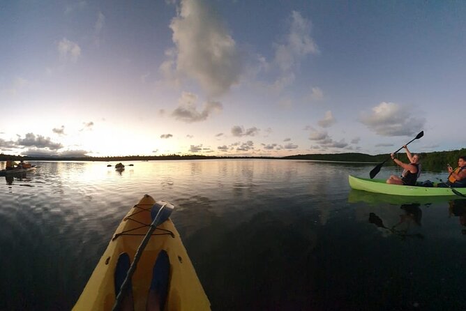 Bioluminescent Night Kayaking With Transport From San Juan - Reviews and Feedback