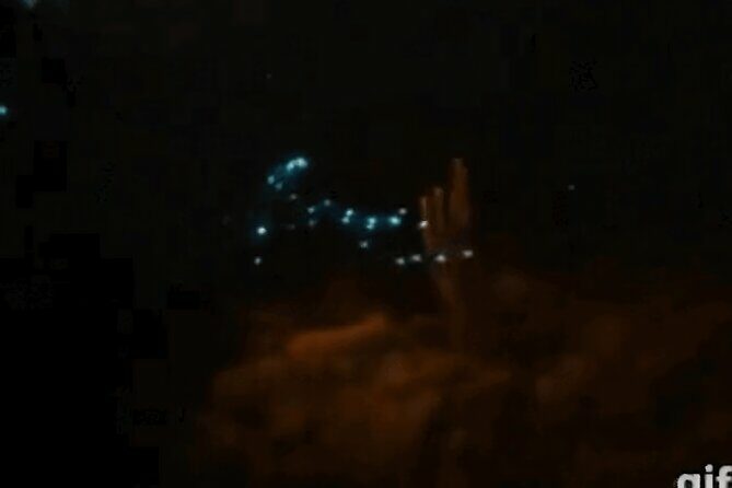 Bioluminescent Night Snorkeling - A Close Look at the Bonaire Bioluminescent Night Snorkeling