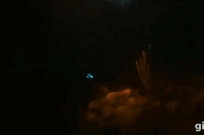 Bioluminescent Night Snorkeling - The Sum Up: Is This Tour Worth It?