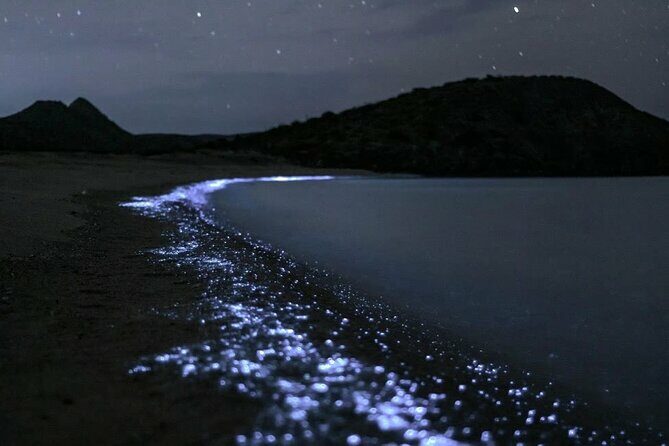 Bioluminescent Plankton Kayak Boat Tour - Discovering the Bioluminescent Plankton Kayak Boat Tour in Cat Ba