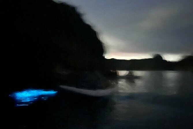Bioluminescent Plankton Kayak Boat Tour - Considerations and Tips