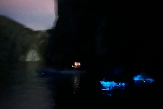 Bioluminescent Plankton Kayak Boat Tour - Who Should Book This Tour?
