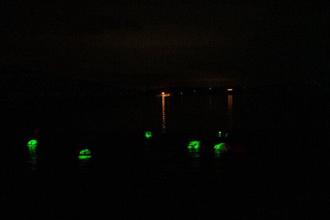 Bioluminescent Swim Experience in West Cork With Storytelling - Quick Points