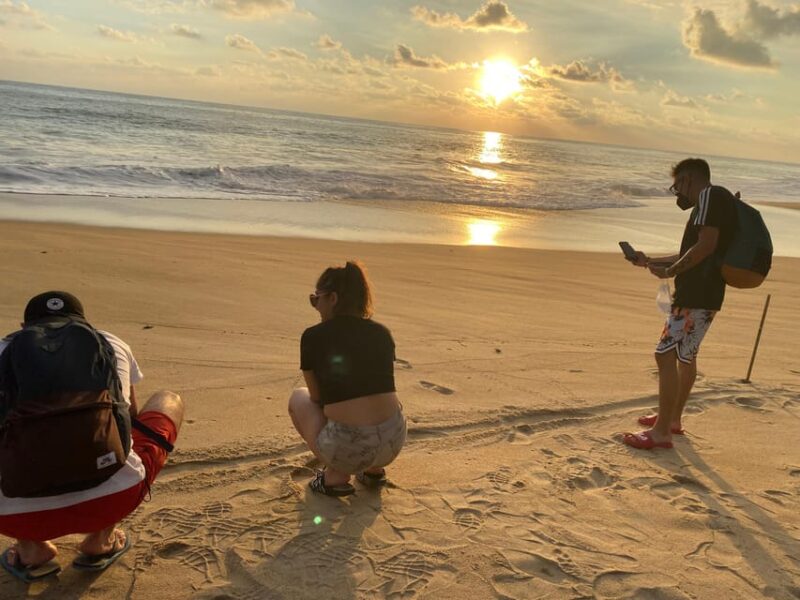 Bioluminiscence and Turtle Release Full Afternoon/Night Trip - Key Points