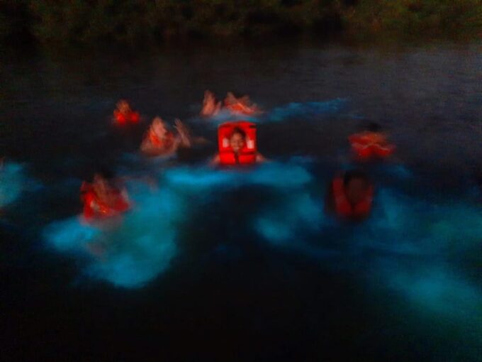 Bioluminiscence and Turtle Release Full Afternoon/Night Trip - Frequently Asked Questions