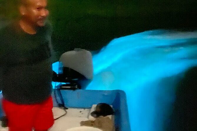 Bioluminiscense Lagoon Tour - What the Tour Promises: An Overview