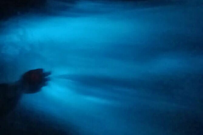 Bioluminiscense Lagoon Tour - Practical Details: What to Expect