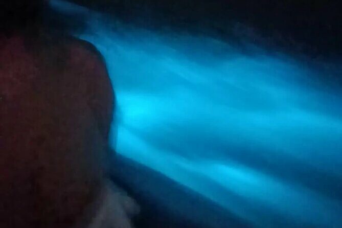 Bioluminiscense Lagoon Tour - The Sum Up: Who Should Consider This Tour?