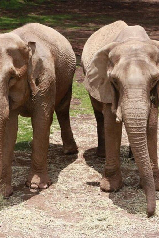 Bioparque Estrella Safari Experience Ticket - Preparing for Your Visit
