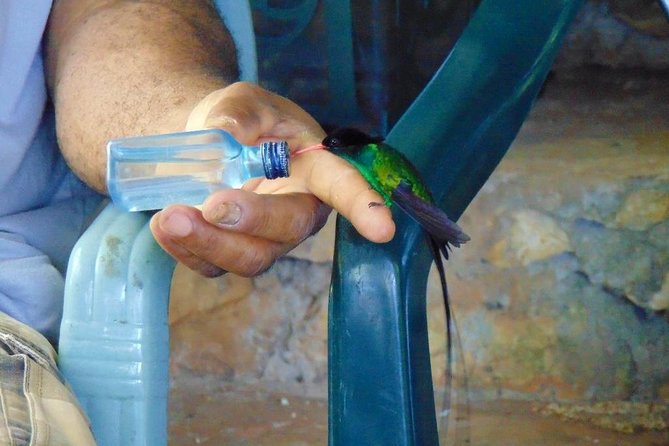 Bird Feeding Sanctuary, Montego Bay Highlights and Columbus Park Day Adventure - Exploring Columbus Park