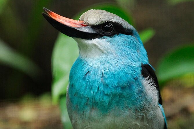 Bird Paradise Singapore - Booking Information