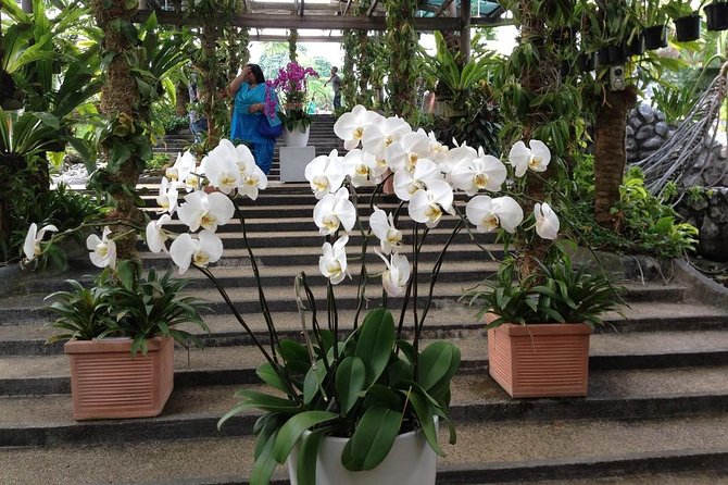 Bird Park & Butterfly Farm Nature Tour From Kuala Lumpur - Reviews Summary