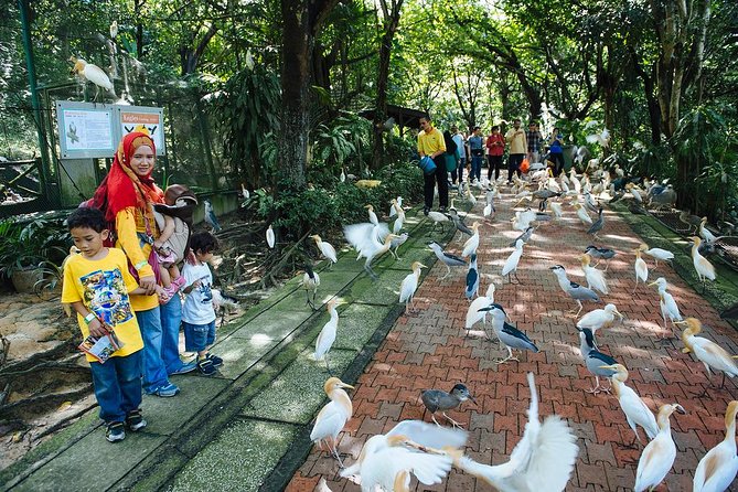 Bird Park & Butterfly Farm Nature Tour From Kuala Lumpur - Additional Details