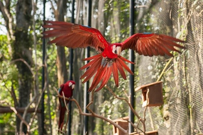 Bird Park & Iguassu Brazilian Side From Puerto Iguazú Hotels - Private Tour - Meeting and Pickup Details