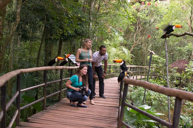 Bird Park & Iguassu Brazilian Side From Puerto Iguazú Hotels - Private Tour - Exploring Iguazu Falls
