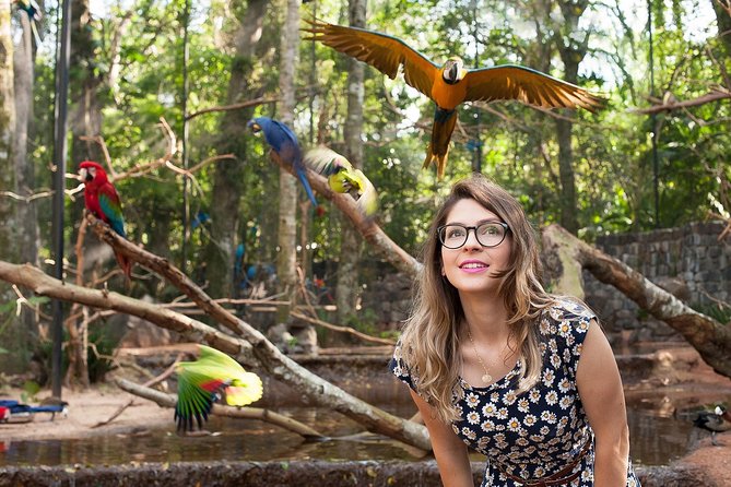 Bird Park & Iguassu Brazilian Side From Puerto Iguazú Hotels - Private Tour - Navigating Immigration Between Argentina and Brazil