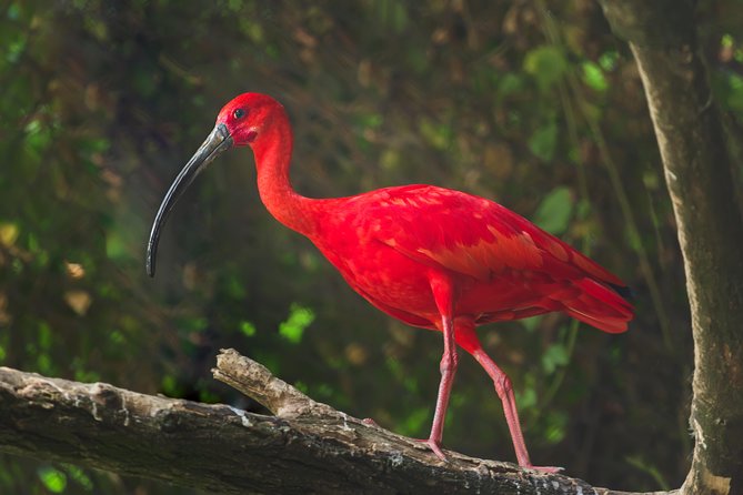 Bird Sanctuaries Tour - About Your Stay