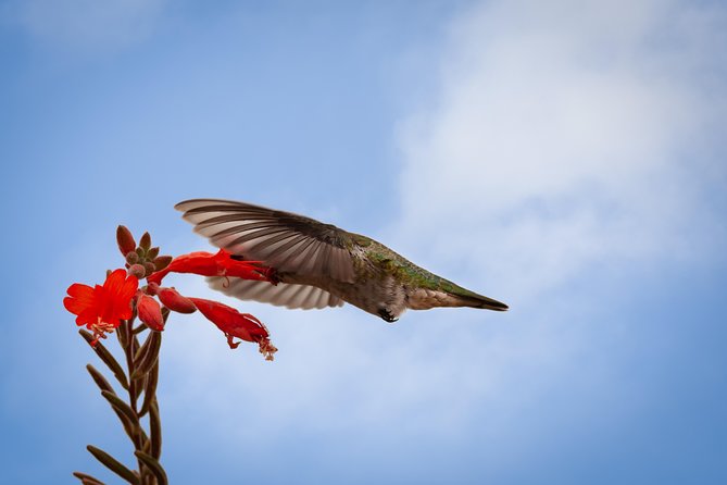 Bird Sanctuaries Tour - Health and Safety